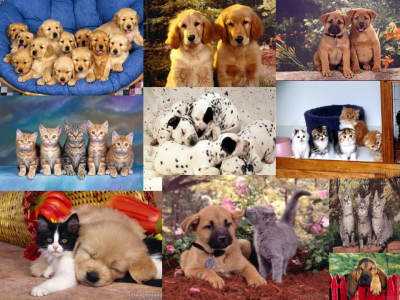 *~&middot;N&ecirc;v&ecirc;r L&ocirc;st th&ecirc; h&ocirc;p&ecirc;&middot;~*